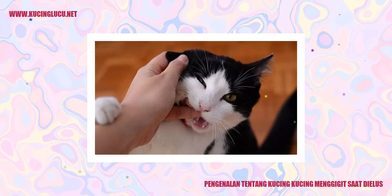 Kucing Menggigit saat Dielus