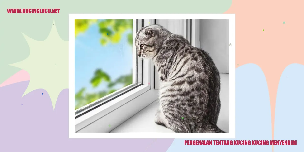 gambar sosok kucing yang suka menyendiri