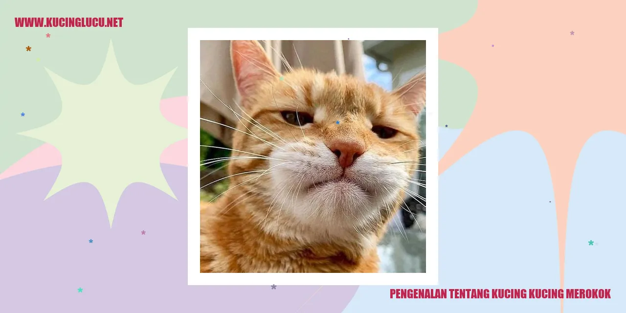 Kucing-kucing Merokok