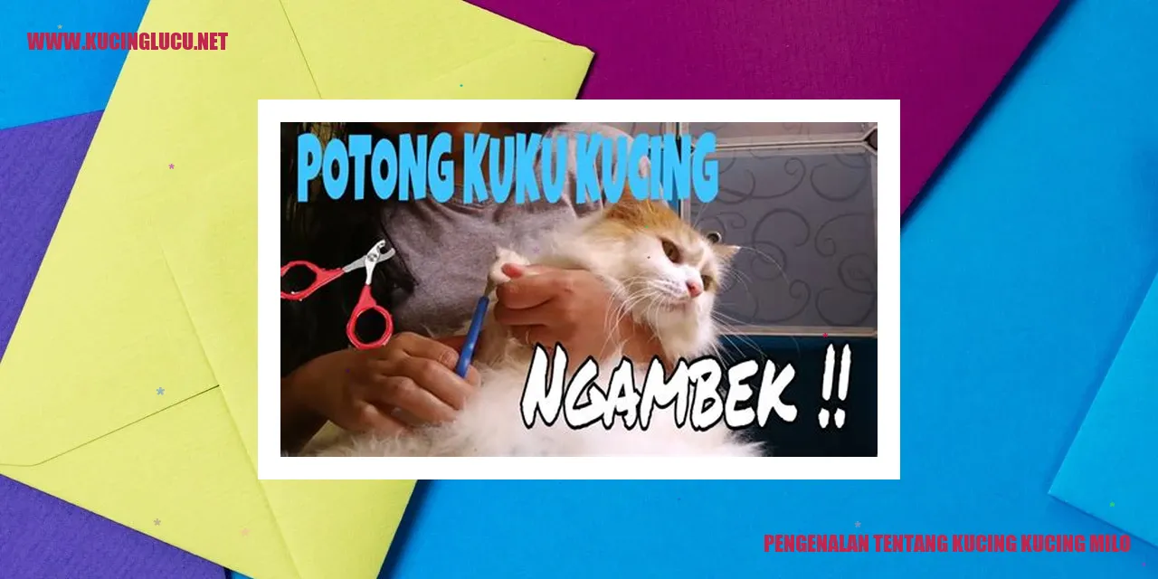 Gambar kucing Milo