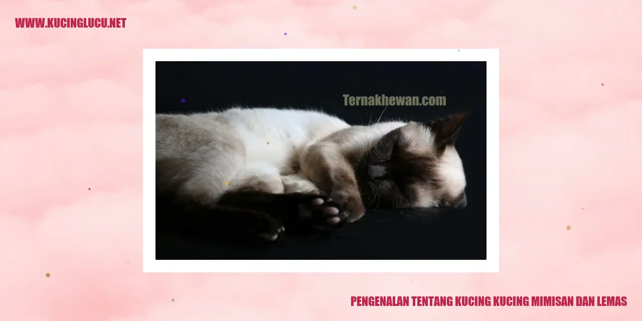 Ilustrasi Kucing