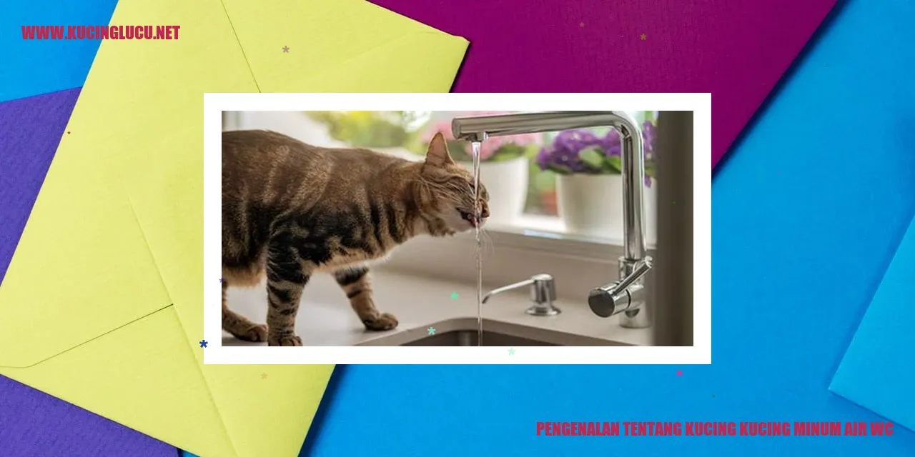 Gambar Kucing Minum Air WC