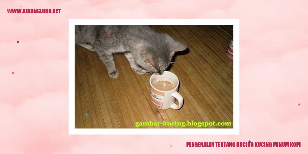 Kucing Menikmati Kopi