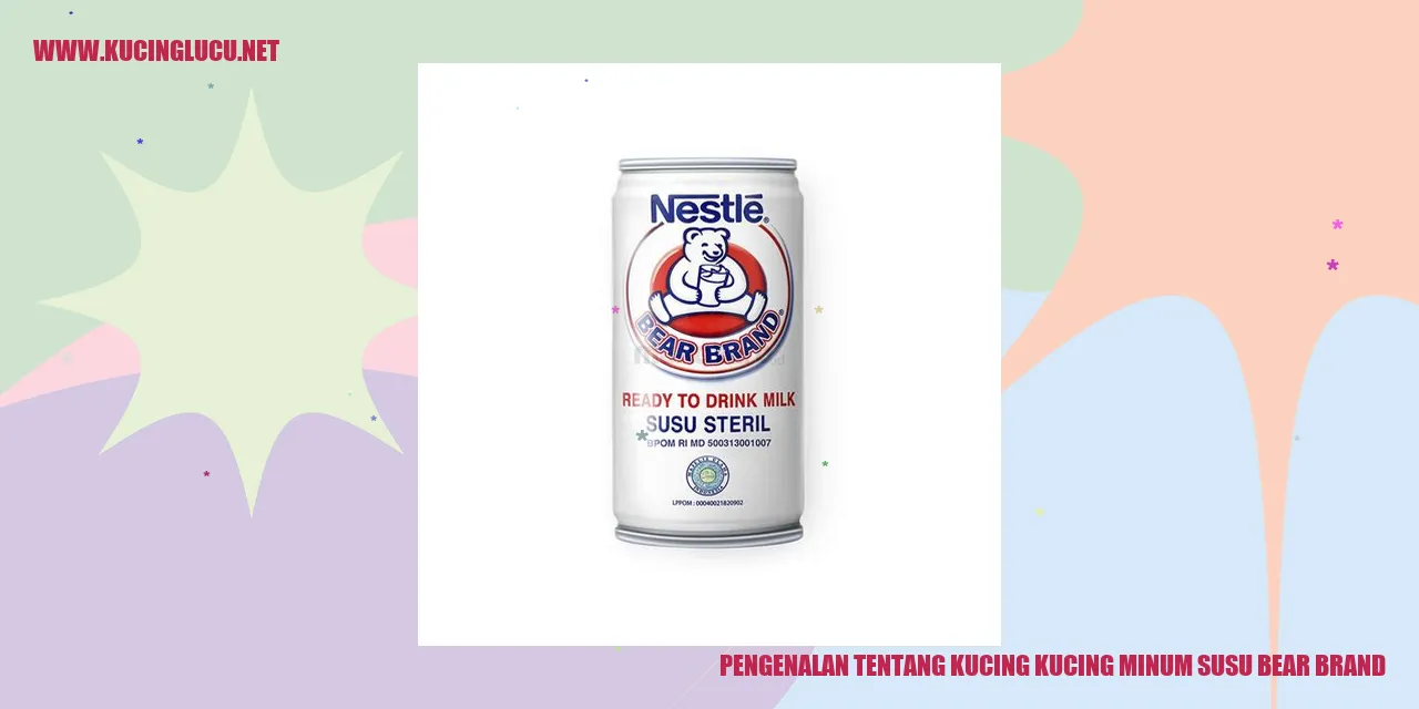Kucing menikmati susu Bear Brand