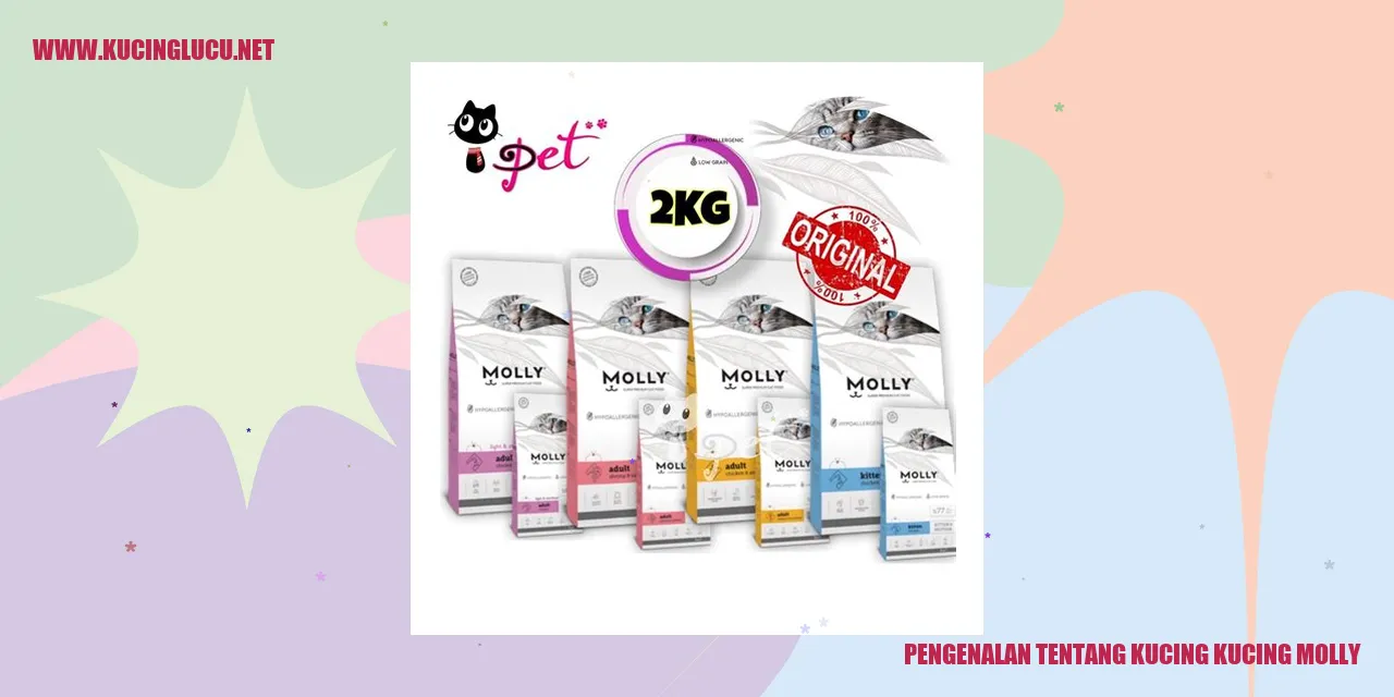 Kucing Molly