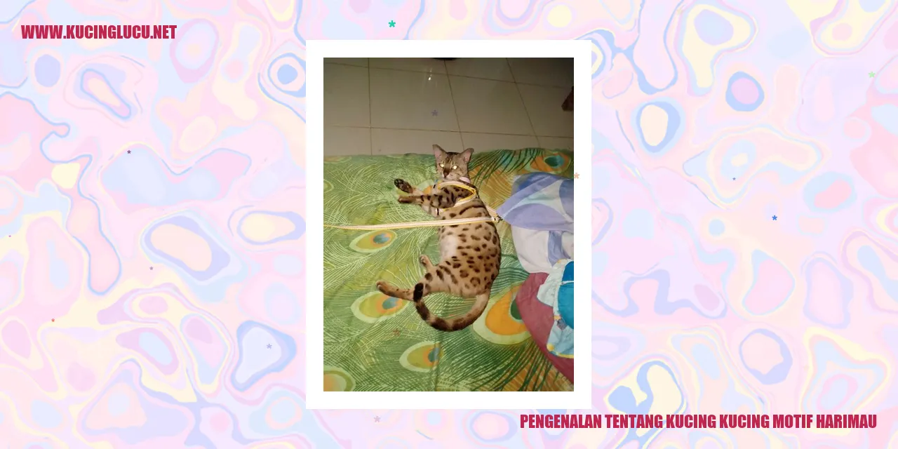 Kucing Berkaki Empat dengan Motif Harimau