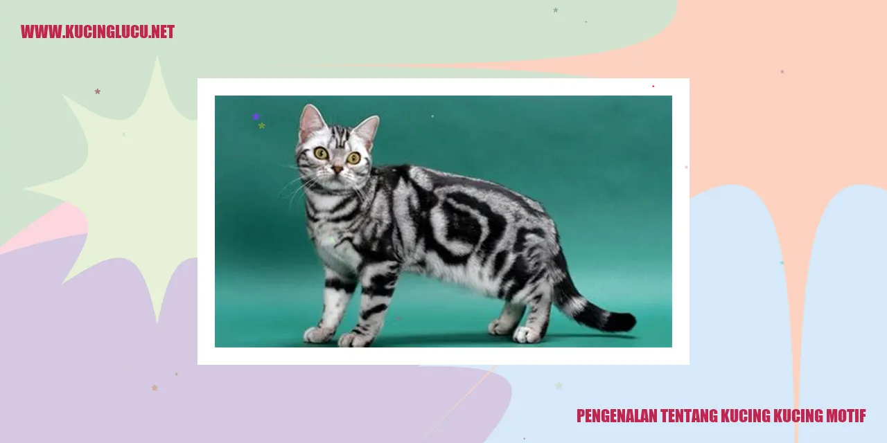 Gambar Kucing Motif