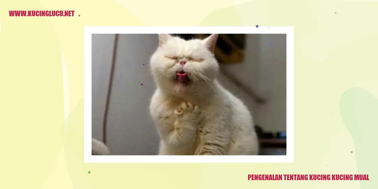 Gambar Kucing Mual