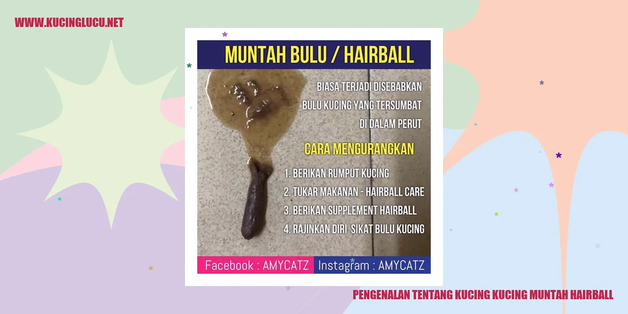 Kucing muntah hairball