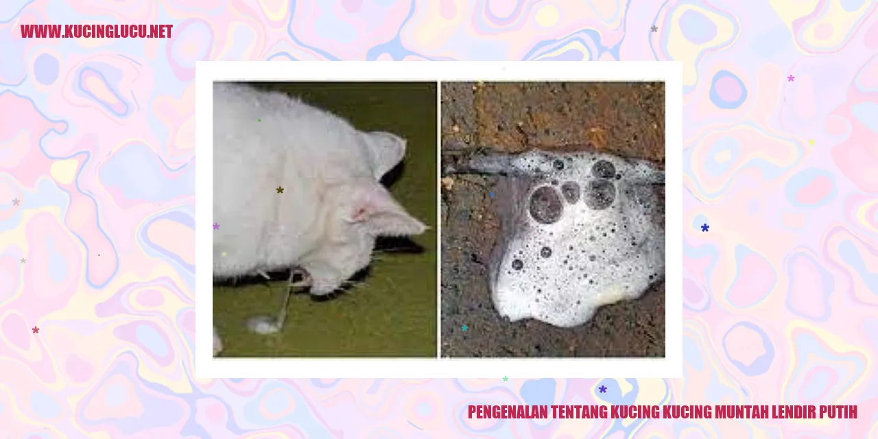 Kucing muntah lendir putih
