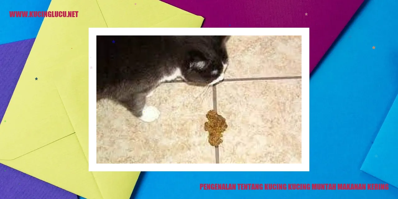 Gambar Kucing Muntah Makanan Kering