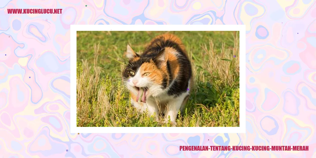 Gambar Kucing Muntah Merah