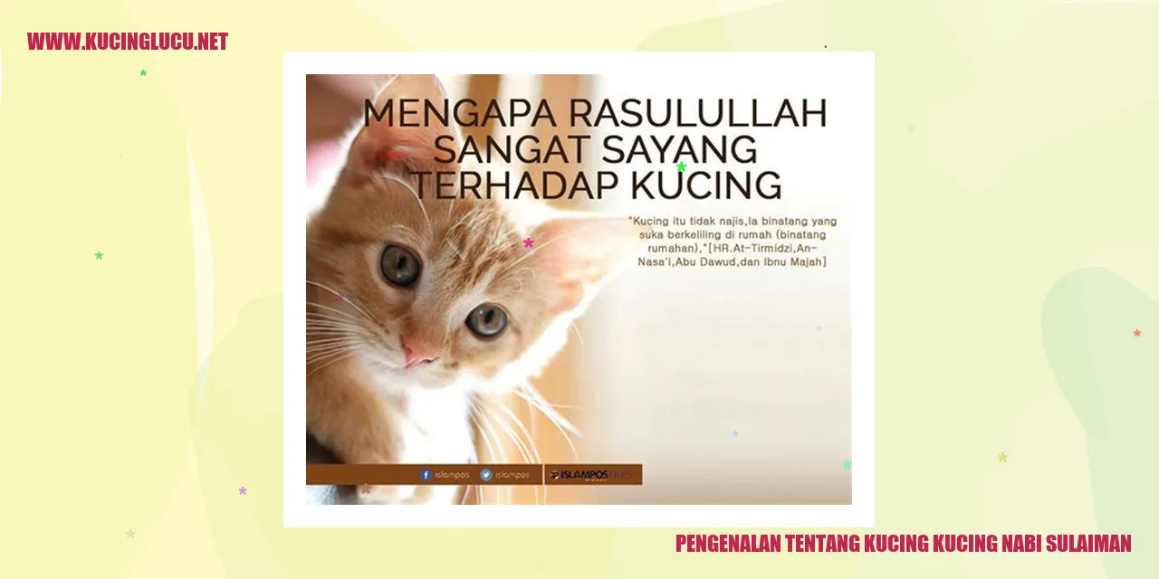 Gambar Kucing-kucing Nabi Sulaiman