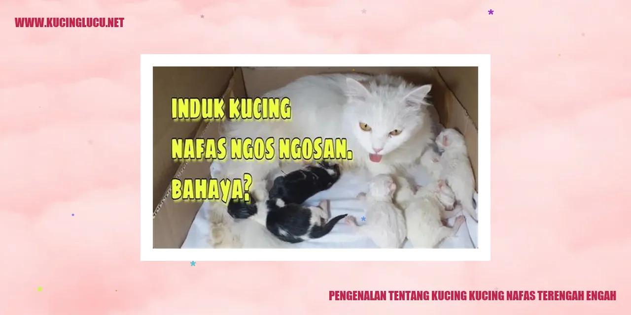 Gambar kucing yang bernafas terengah-engah