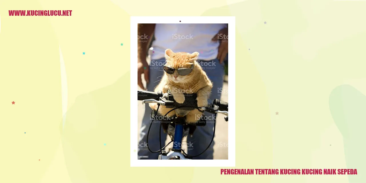Kucing-kucing naik sepeda