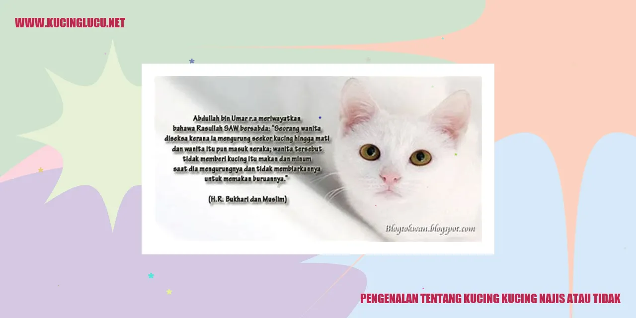 Gambar Kucing