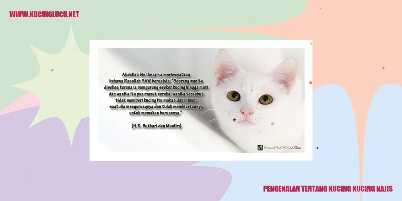 Gambar Kucing Najis