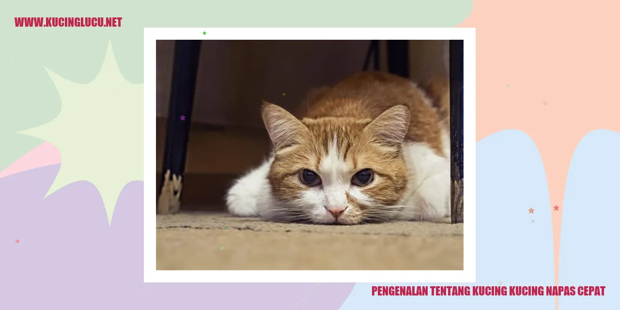 Gambar Kucing dengan Respirasi Cepat