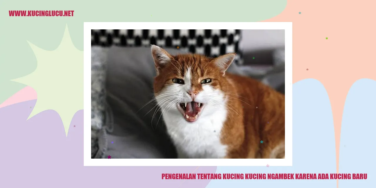 Kucing ngambek