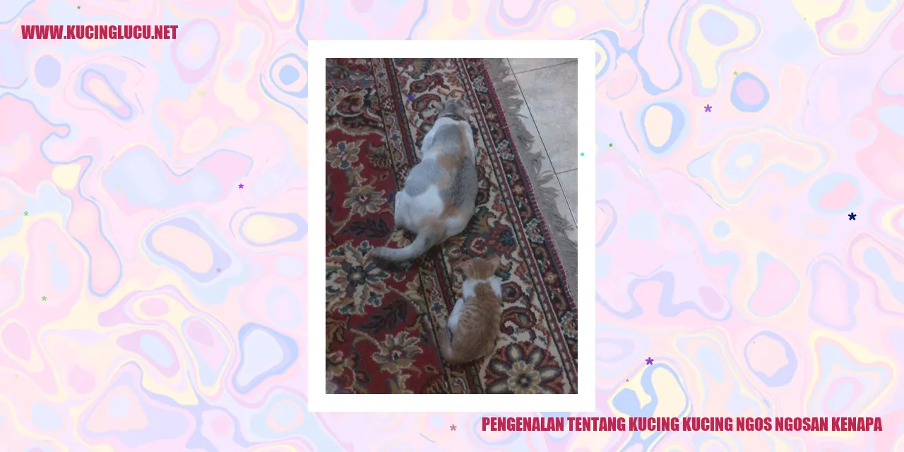Kucing Ngos Ngosan Kenapa