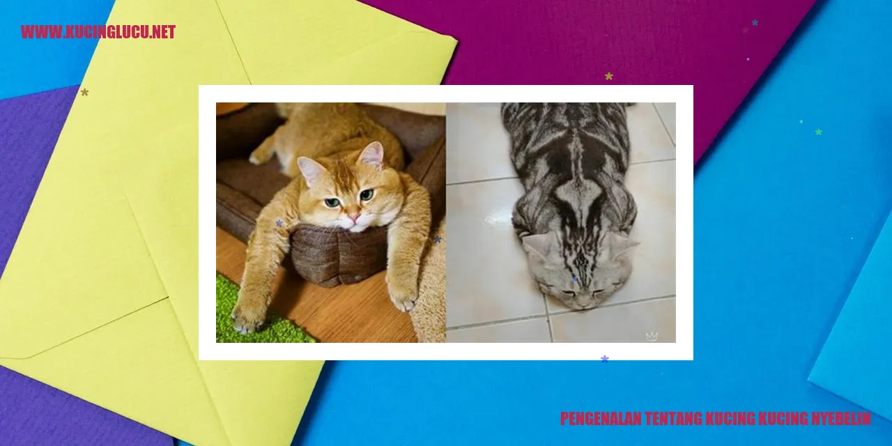 Kucing Nyebelin