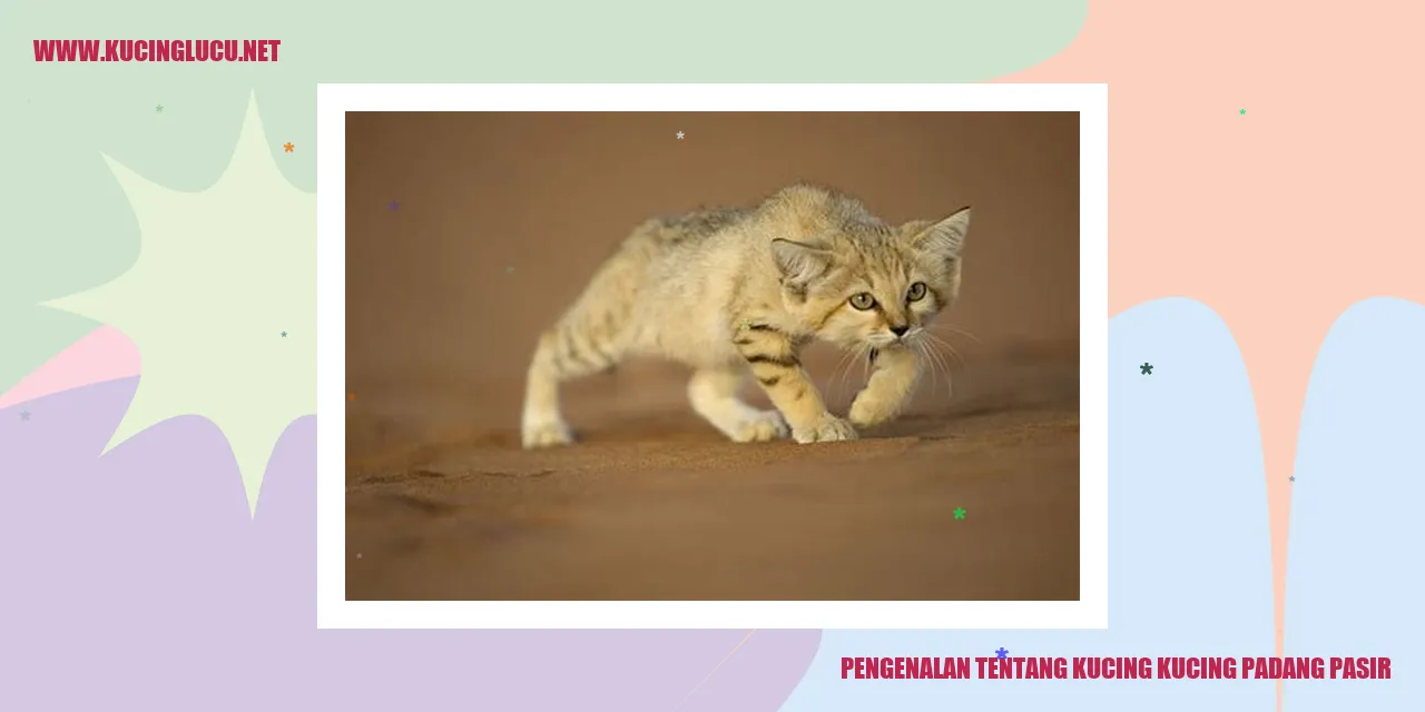 Contoh Gambar Kucing Padang Pasir
