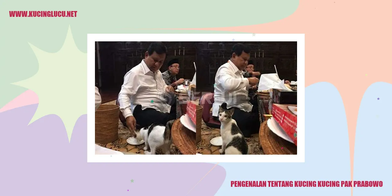 Gambar kucing-kucing Pak Prabowo