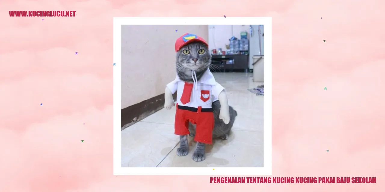 Kucing-kucing Pakai Baju Sekolah