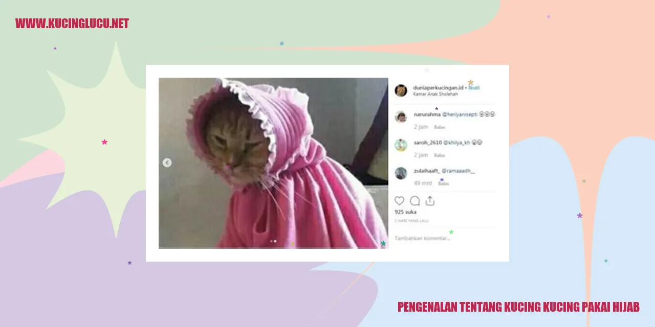 Kucing-kucing Mengenakan Hijab