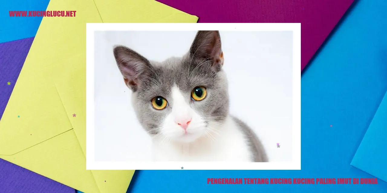 Kucing yang menggemaskan