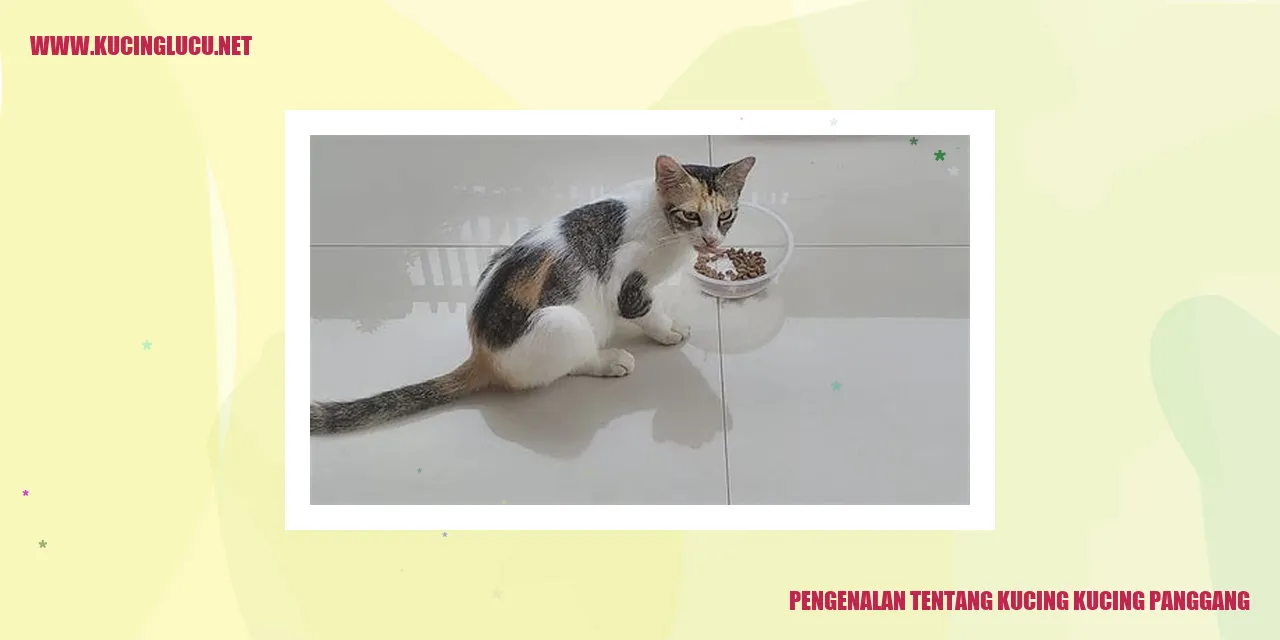 Kucing kucing panggang