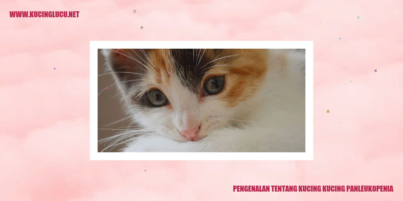 Ilustrasi Kucing