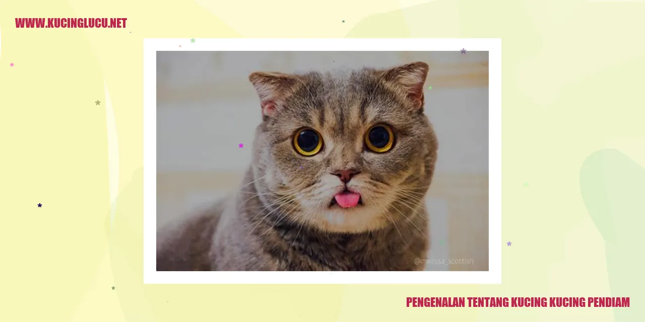 Kucing dengan Karakter Pendiam