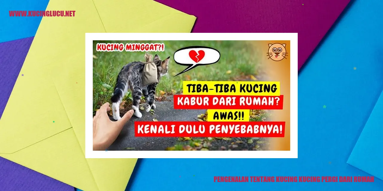 Kucing yang Pergi dari Rumah