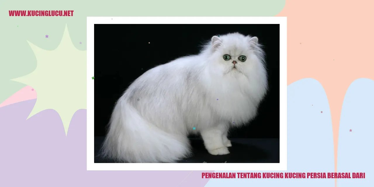 Kucing Persia