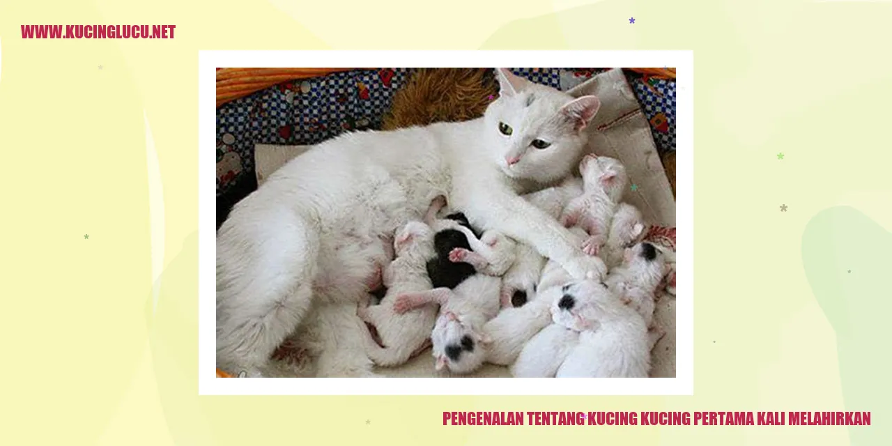 Kucing melahirkan