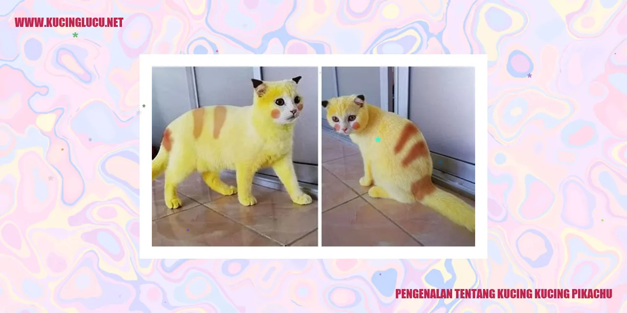 Gambar Kucing Pikachu