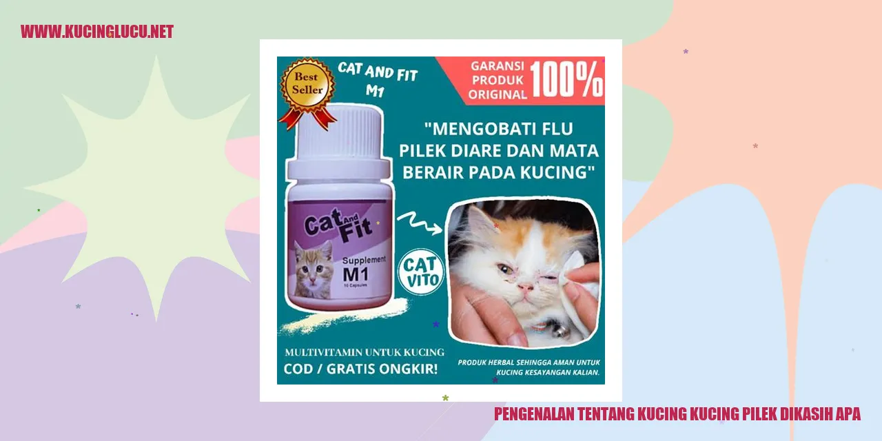 kucing pilek
