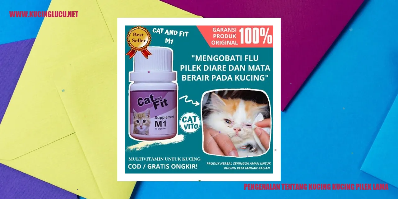 Gambar Kucing