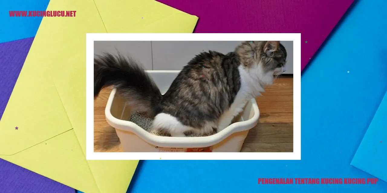 Gambar Kucing Pup