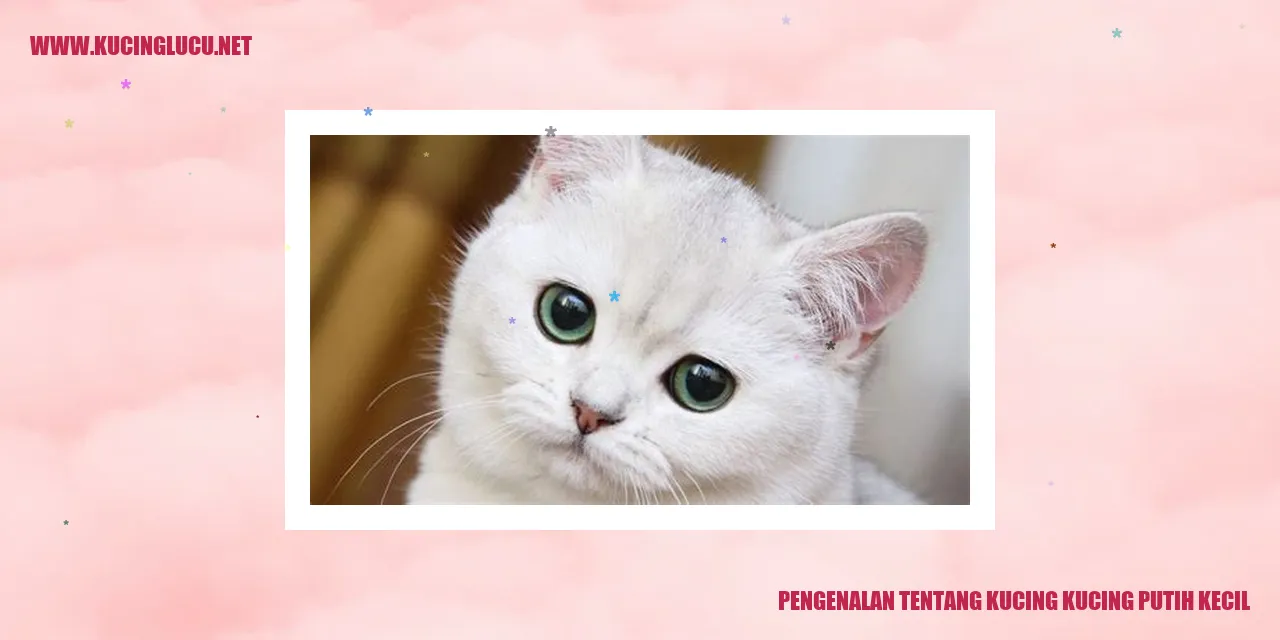Kucing Putih Kecil