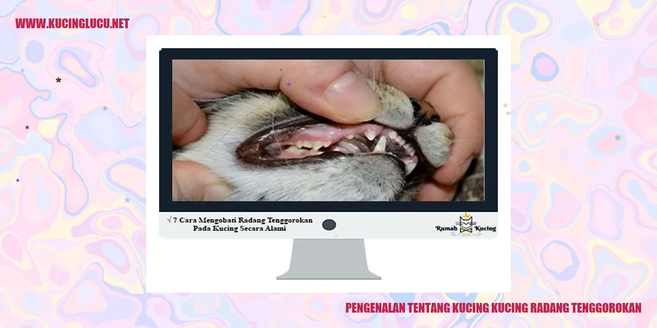 Kucing Sakit Tenggorokan