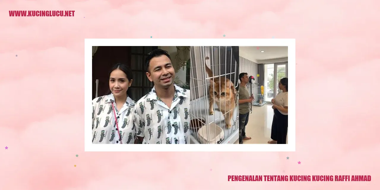 Kucing-Kucing Raffi Ahmad