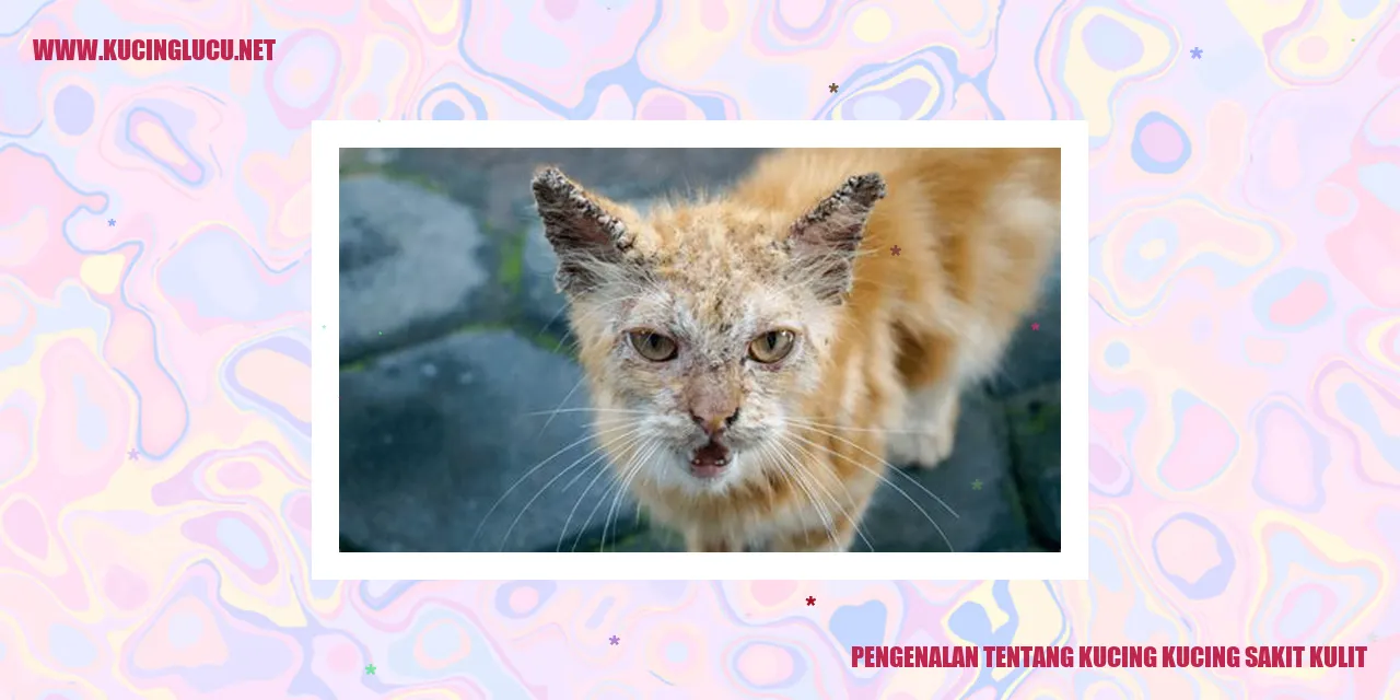 Gambar Kucing Sakit Kulit
