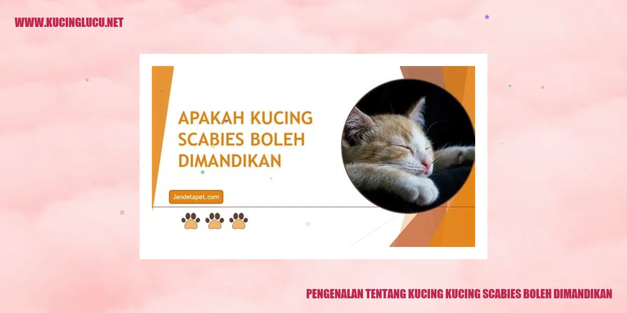 Kucing Scabies