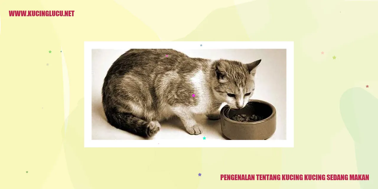 Gambar kucing makan