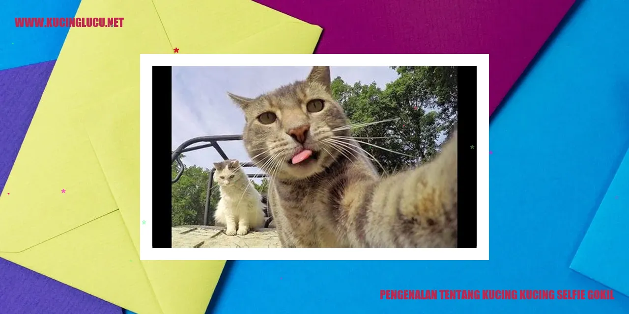 Kucing Selfie Gokil