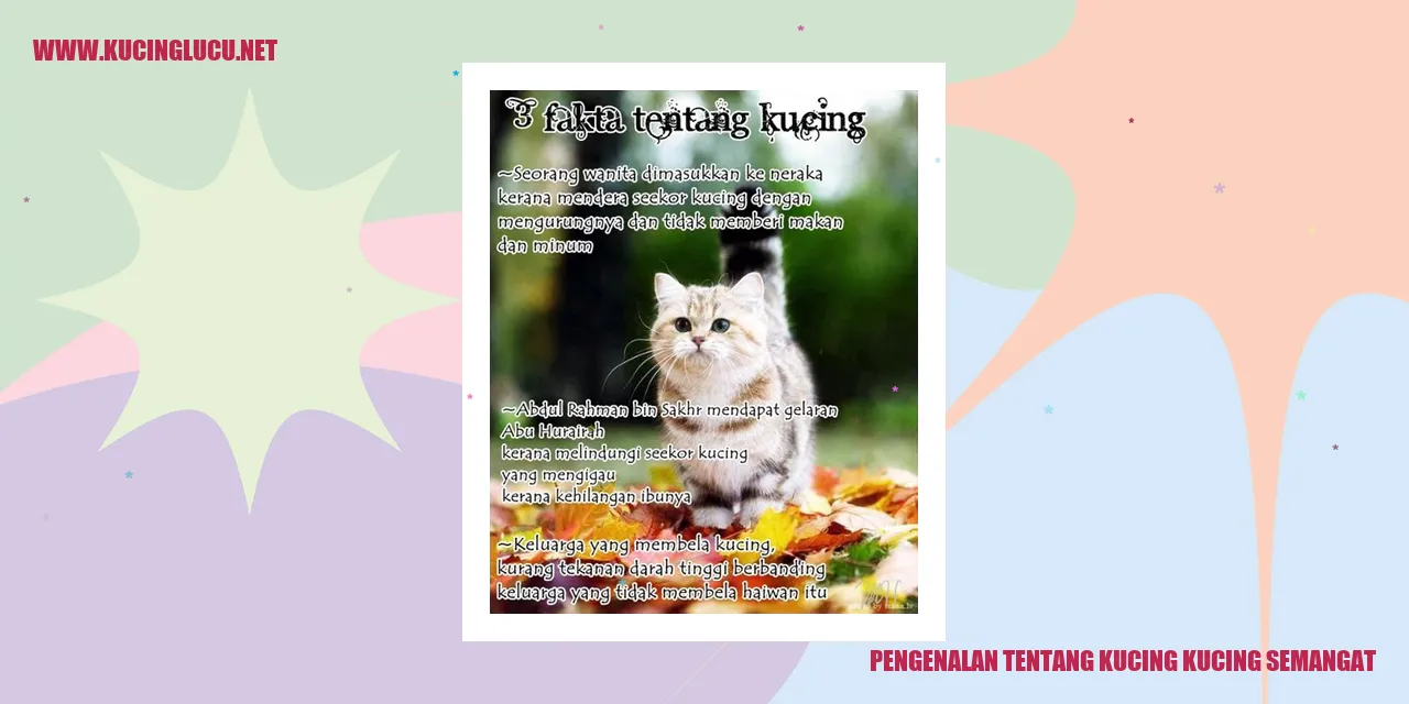 Kucing Kucing Semangat