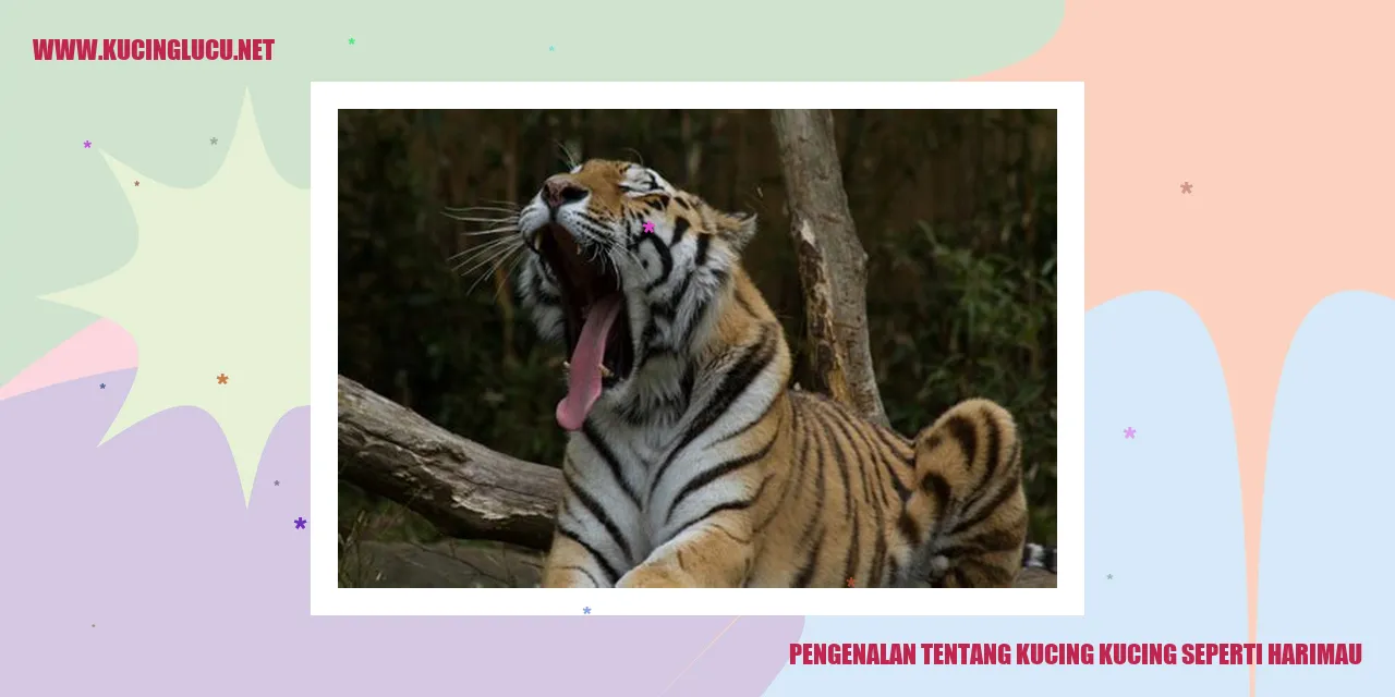 Gambar Kucing dengan Penampilan Seperti Harimau