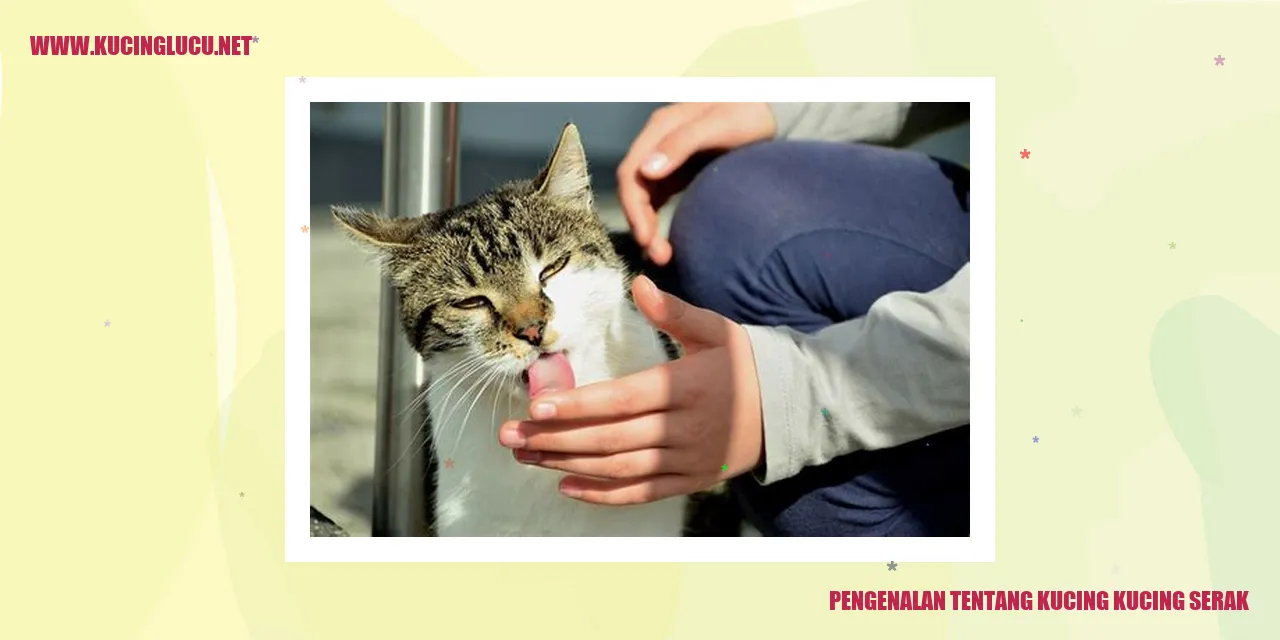 Gambar Kucing Serak